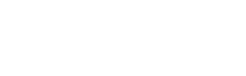 Smart Chips